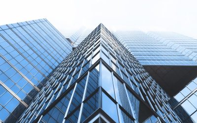 Vestibulum auctor dapibus neque.